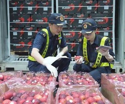 China's imports from Africa surge 23.5 pct in May-June period on zero-tariff policy
