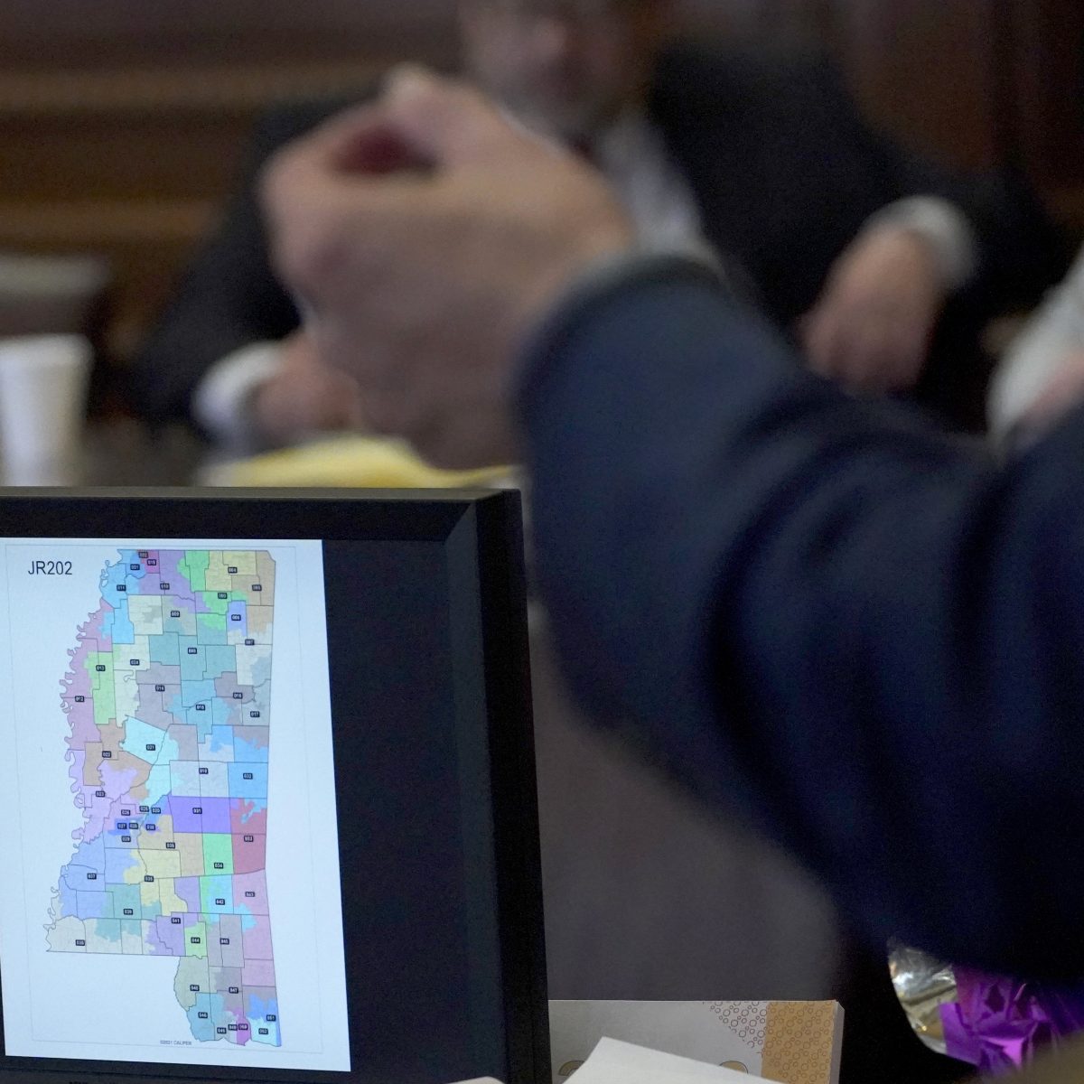 Federal judge rejects challenge to DeSoto County election maps, citing new voting rights standard