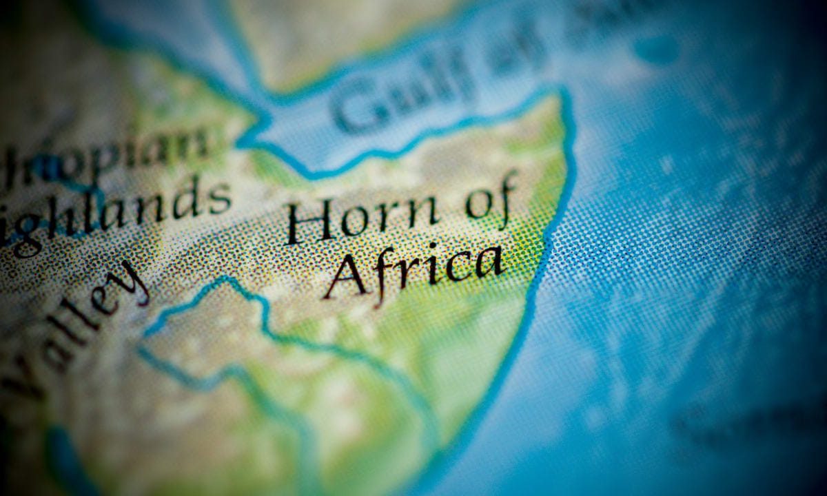 Horn of Africa vital in regional power as Gulf nations compete over alliances