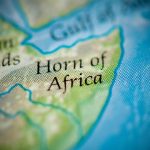Horn of Africa vital in regional power as Gulf nations compete over alliances