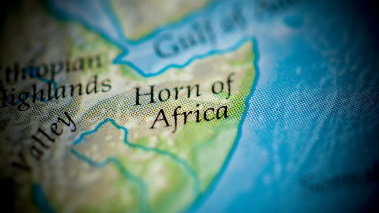 Horn of Africa vital in regional power as Gulf nations compete over alliances