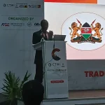 Kenya's digital infrastructure won't create jobs without human-centred innovation, experts say