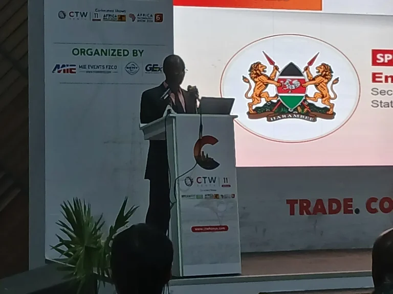 Kenya's digital infrastructure won't create jobs without human-centred innovation, experts say