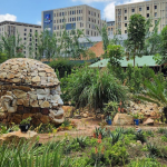 Lessons from South Africa on how parks and community gardens can help cities adapt to climate change