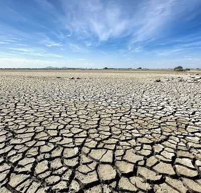 Nigeria, Africa not ready for next climate disaster - Expert warns