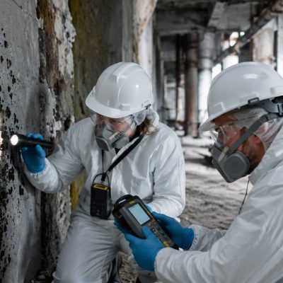 Scientists Discover Mysterious Black Fungus Thriving in Chernobyl for Nearly 40 Years, Challenging Extreme Radiation and Potentially Revolutionizing Space Missions