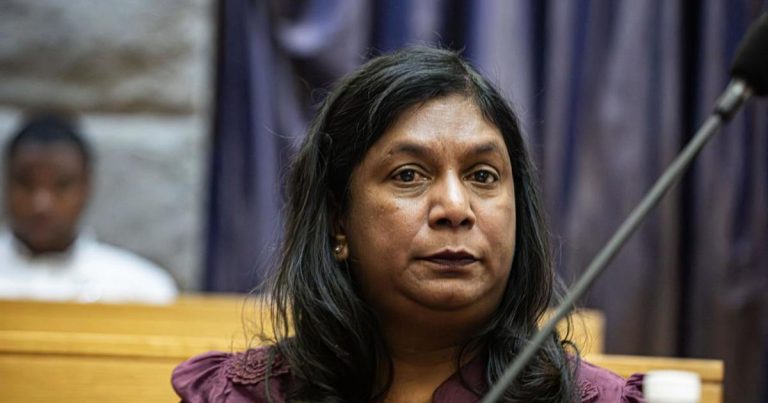There are no heroes coming to save South Africa from corruption