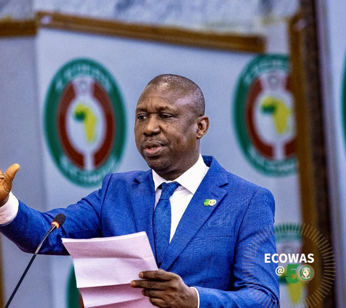 32m W/Africans risk displacement, $294bn needed to tackle climate crisis — ECOWAS