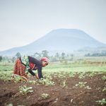 A super El Niño looms: Africa’s five lessons in climate resilience