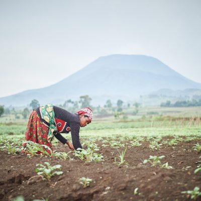 A super El Niño looms: Africa’s five lessons in climate resilience