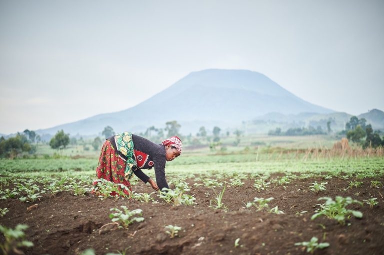 A super El Niño looms: Africa’s five lessons in climate resilience