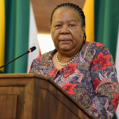 African leaders failing their people drive migration to SA: Naledi Pandor