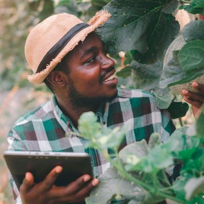 Africa’s much-awaited rise will be powered by nature