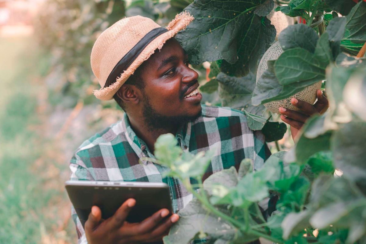 Africa’s much-awaited rise will be powered by nature