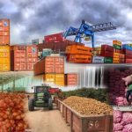 China’s Zero-Tariff Policy Boosts African Exports
