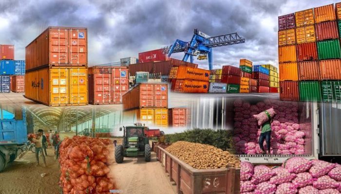 China’s Zero-Tariff Policy Boosts African Exports
