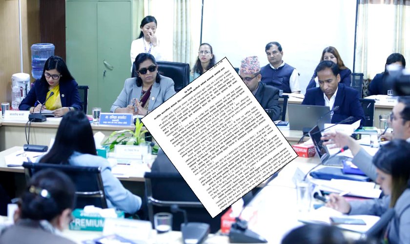 Civil Activists Advise Parliamentary Committee to Seek Answers from Government, Not International Human Rights Bodies | Ratopati