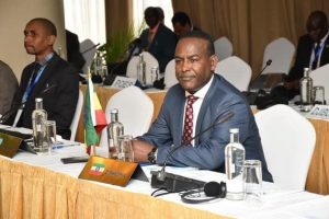 Ethiopian Delegation Participates in Eastern Africa Standby Force Policy Organs Meeting - ENA English
