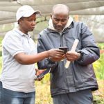 Growing hope: How fruit trees are building climate resilience and prosperity in East Africa