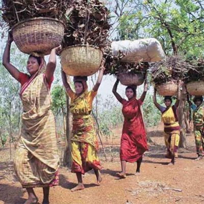 International Day of the World’s Indigenous Peoples: A Renewed Call for Rights, Dignity, Justice and Sustainable Livelihoods