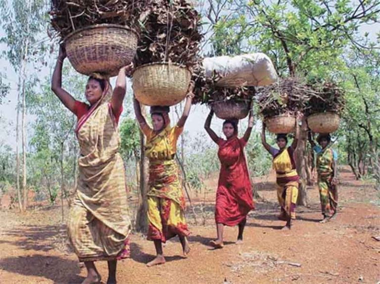 International Day of the World’s Indigenous Peoples: A Renewed Call for Rights, Dignity, Justice and Sustainable Livelihoods