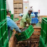 Kenyan, African exporters benefit from China’s zero-tariff policy – Capital FM Kenya
