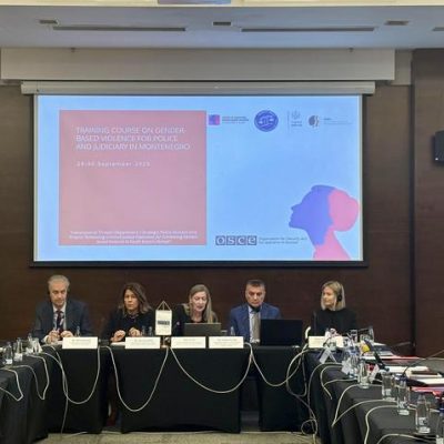 OSCE trains Montenegrin police and judicial professionals on response to gender-based violence