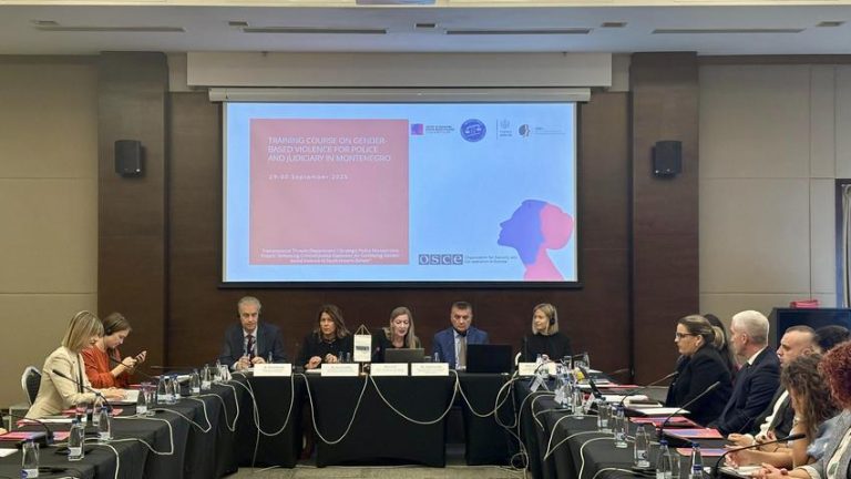 OSCE trains Montenegrin police and judicial professionals on response to gender-based violence