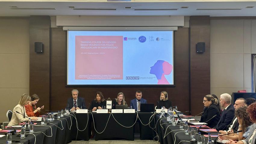 OSCE trains Montenegrin police and judicial professionals on response to gender-based violence