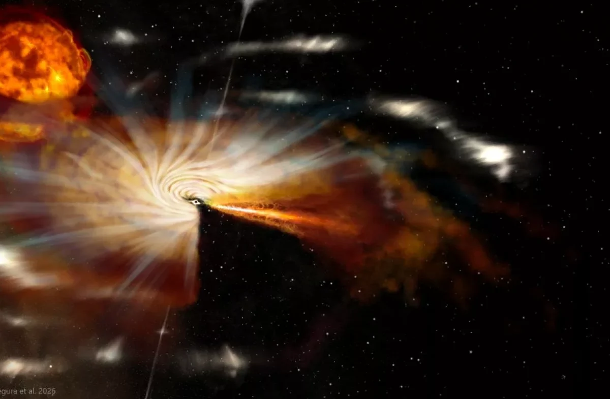 Scientists discover black holes have a cosmic 'digestive system'