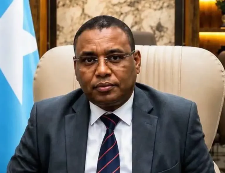 Somalia's Deputy PM Gives Up Kenyan Citizenship as Passport Dispute Deepens | Dawan Africa