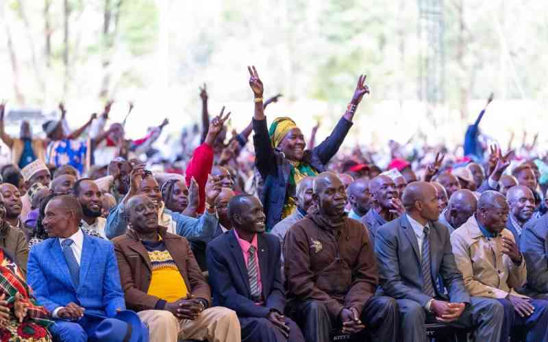 Village elders will form a massive campaign network for government