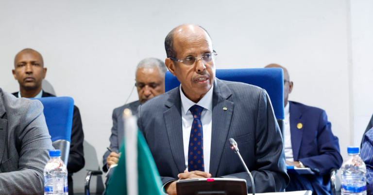 AU Chairperson reaffirms commitment to global African unity
