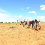 Africa’s 2026 El Niño risk tests climate-responsive social protection systems