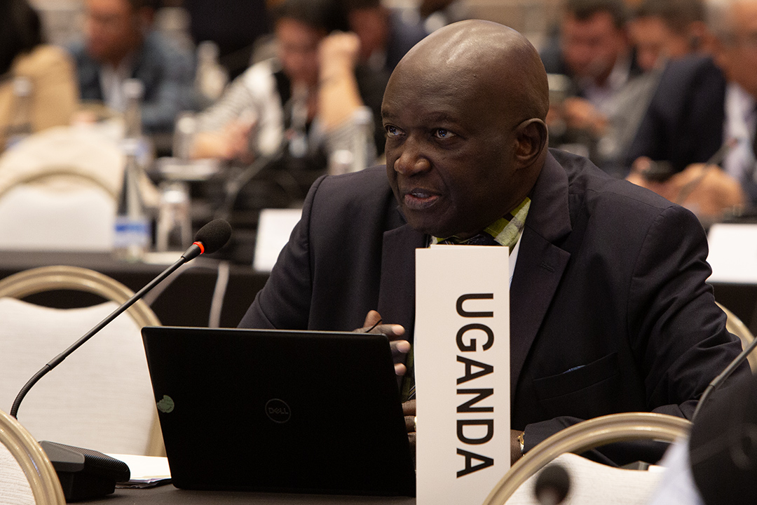 COP 31: African Negotiators to Push for Action on Agricultural Climate Finance