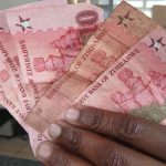 Can Zimbabwe’s ZiG win trust and replace the US dollar? | Economy News