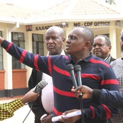 Court orders the removal of MP's images and name from publicly funded projects
