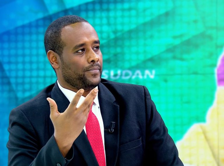 Egypt’s Involvement Threatening Sudanese Sovereignty, Regional Stability: Political analyst Al-Arrousi - ENA English