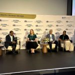 Gauteng looks to practical solutions for climate resilience