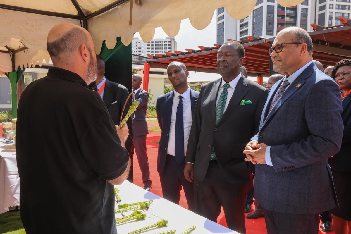 Kenya puts tech diplomacy at heart of foreign policy