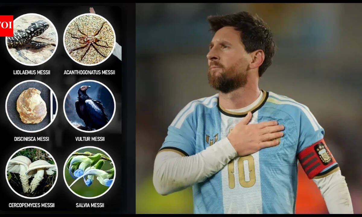 Lionel Messi breaks own Guinness World Record with six species named in his honour: All the insects, animals, fossils, fungi, and plants | Football News