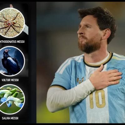 Lionel Messi breaks own Guinness World Record with six species named in his honour: All the insects, animals, fossils, fungi, and plants | Football News
