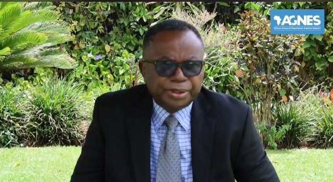 Parliamentarians critical to climate accountability in Africa, Onuigbo says - EnviroNews