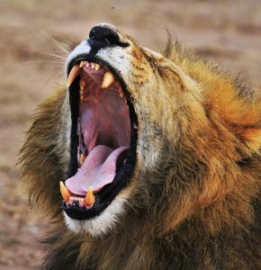 US Economy Continues To Roar, While The Fed Waits For More