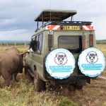 Why the Masai Mara Remains the Crown Jewel of Kenya's Tourism Economy